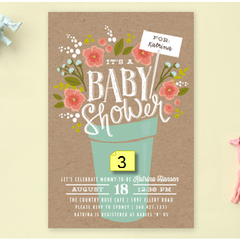 pro01(images by options)